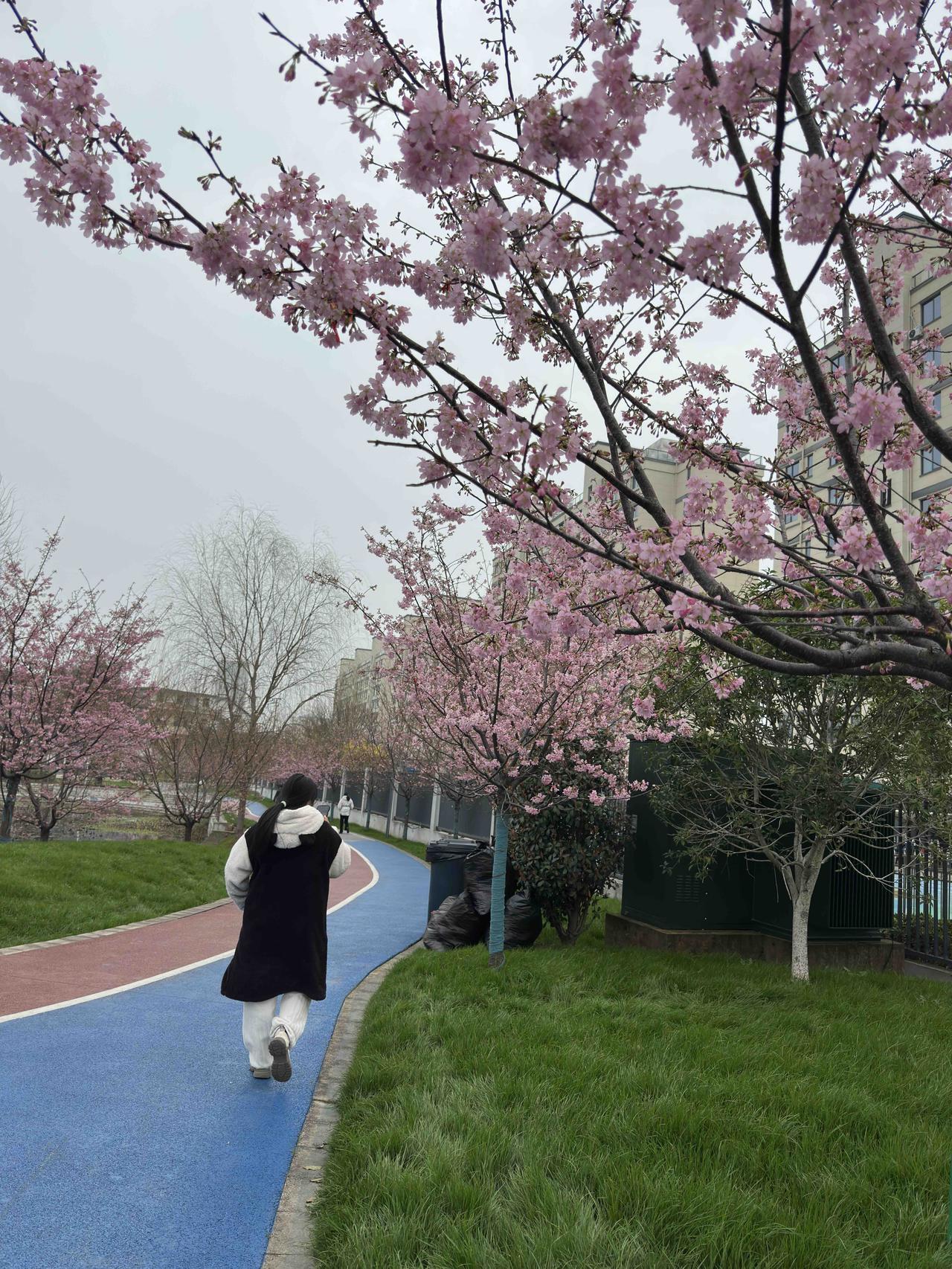 14届全国人大四次会议开幕了！

有关信息据悉，“社会保障：城乡居民基础养老金月