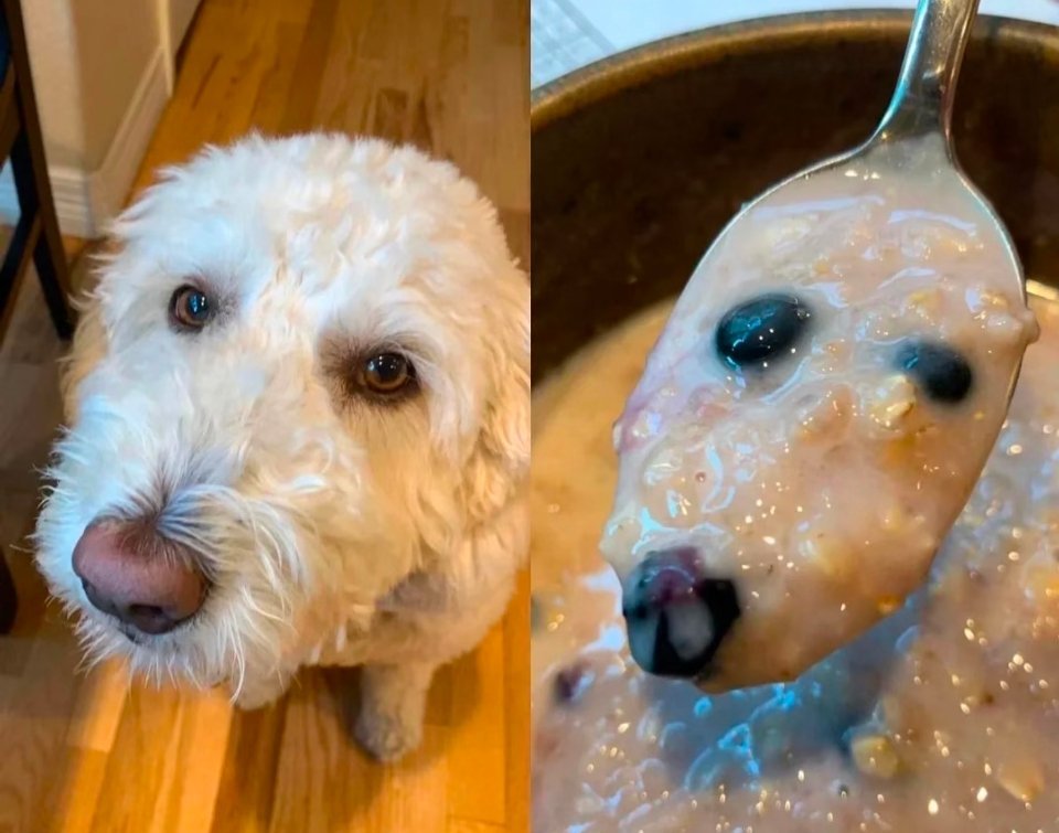 我就放一张图 ​​​