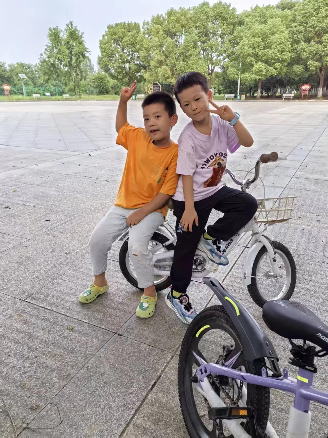 兄弟两个人，难得一起玩耍。哥哥是个机灵鬼，不肯吃亏的主，弟弟是个木头人，傻傻的。