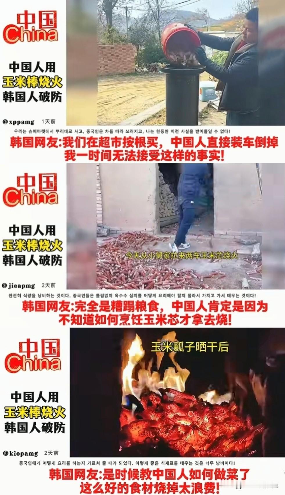 【问一下】
没去过北方。
没去过韩国。
北方是不是都把玉米吃剩下的芯当柴烧？
韩