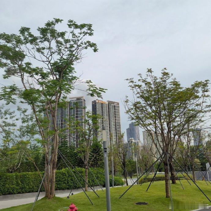 不知道你有没有发现一个很扎心的现象：明明日子越过越好，可我们的快乐，却越来越难。