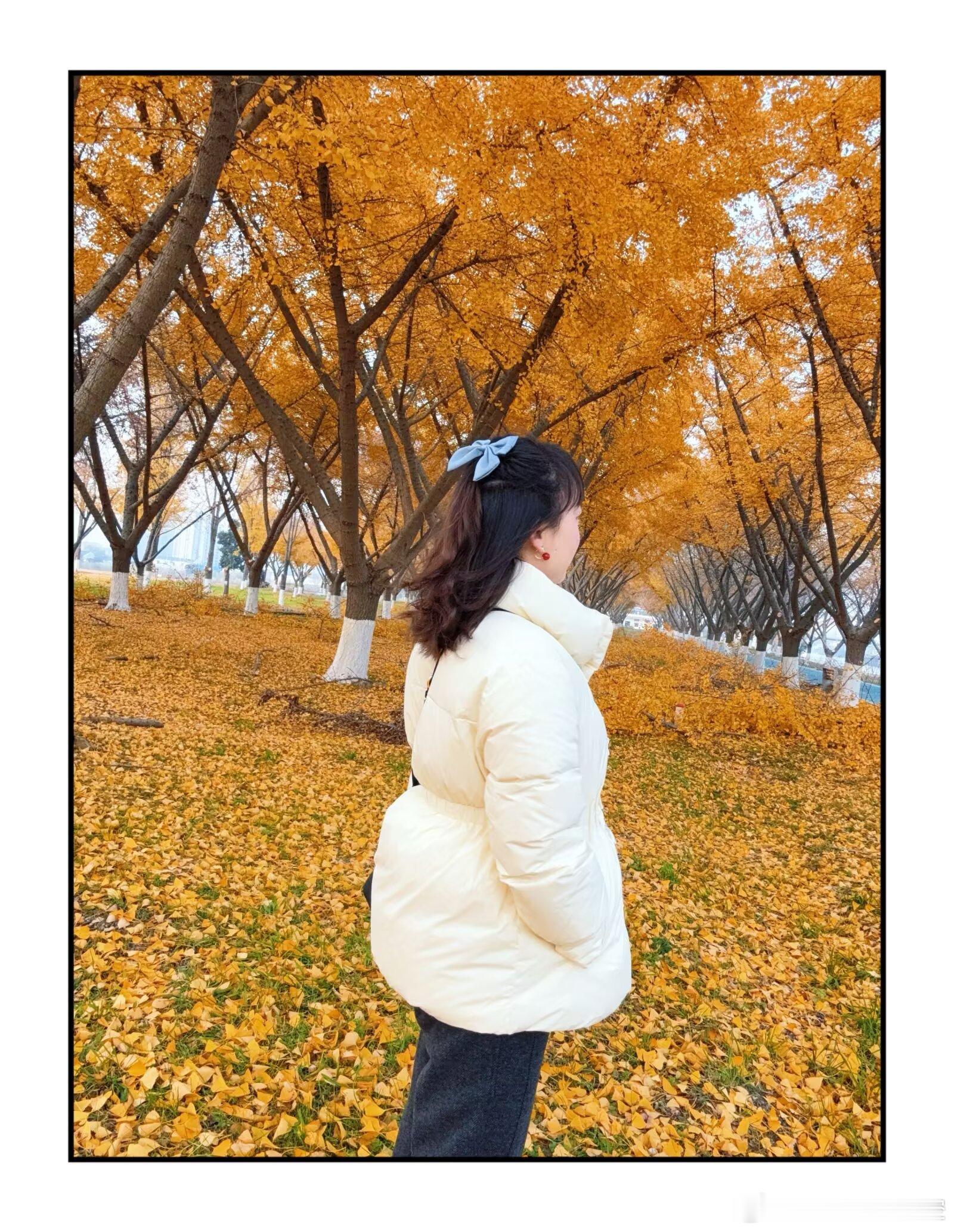 又想前女友了