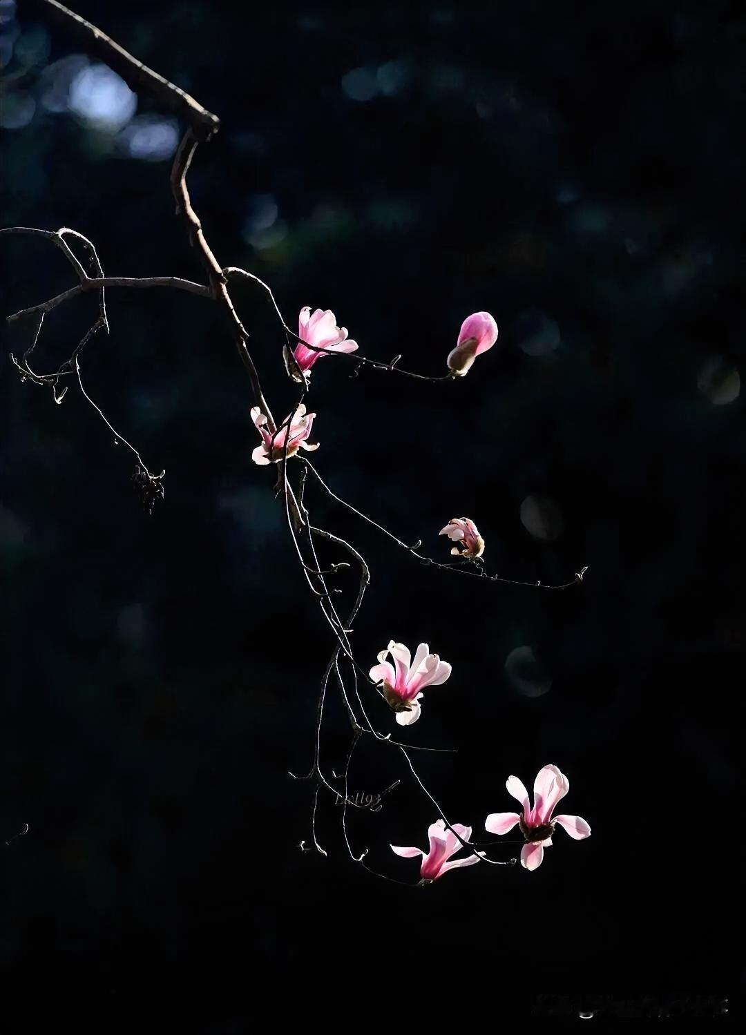 上联：离意别情朱颜瘦
下联：有请雅士[玫瑰][玫瑰][玫瑰]