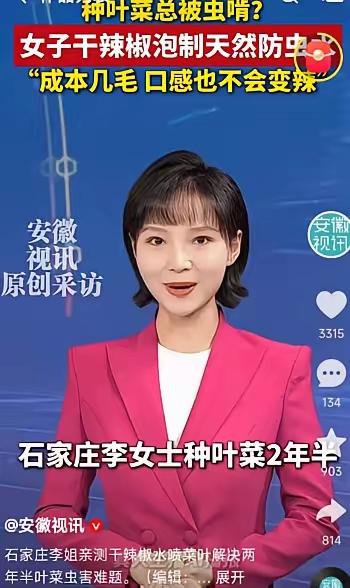 人怎么这么聪明！河北石家庄，一女子在家种青菜，结果大多被虫子吃的一干二净，女子疑