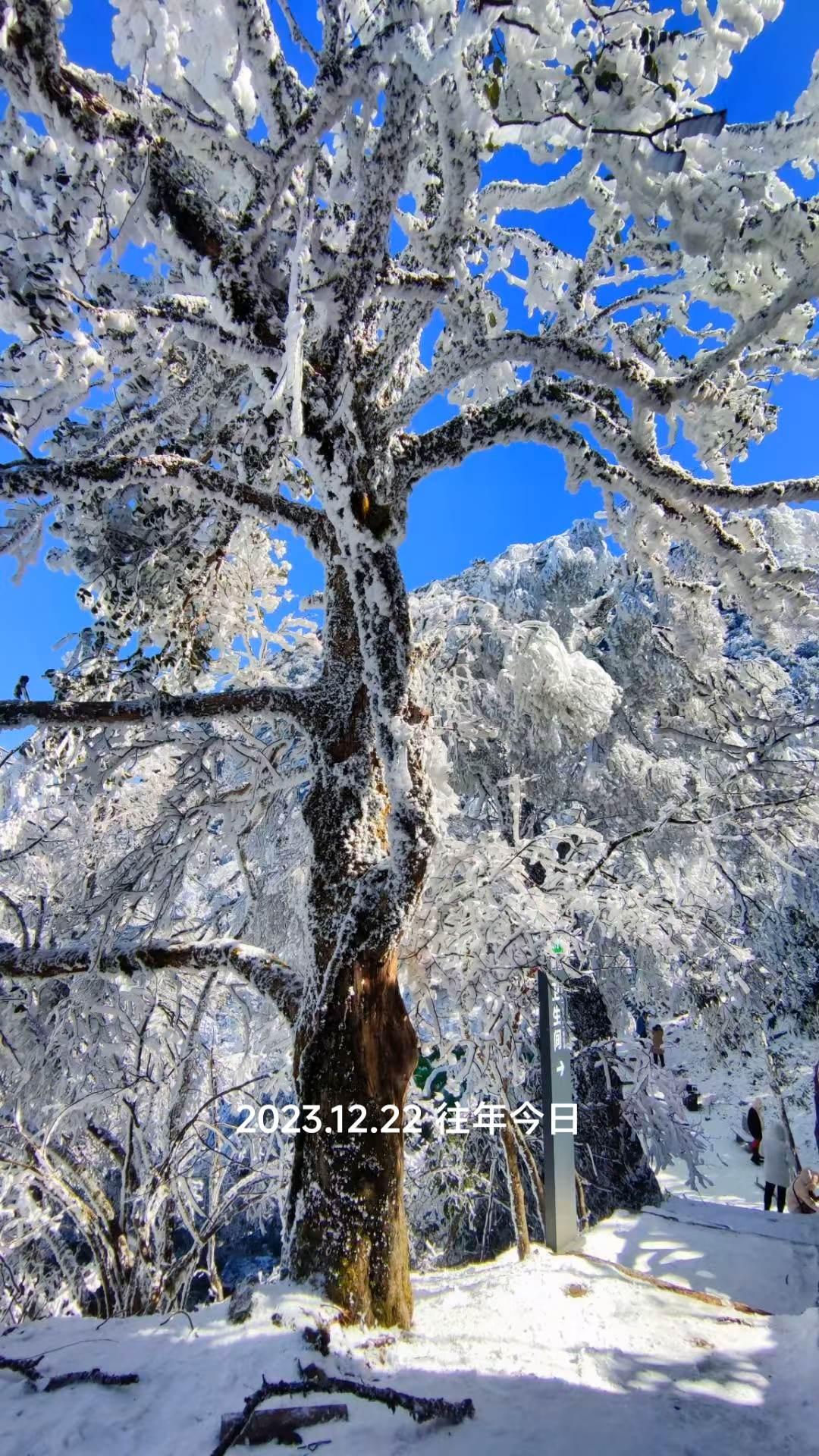 山顶的风景你值得一看山顶的大风值得体验 雾凇美景