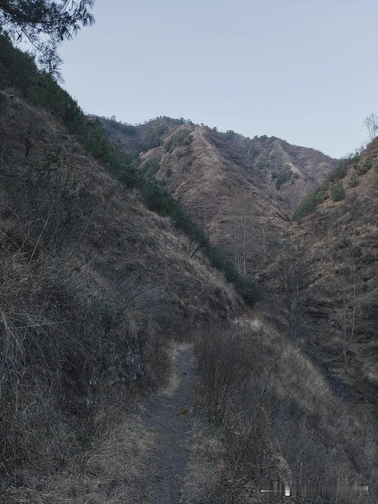 湖南省人民医院某医生这件事情，最受伤的还是她老公，躺着都中枪，竟然有人把他给拔出