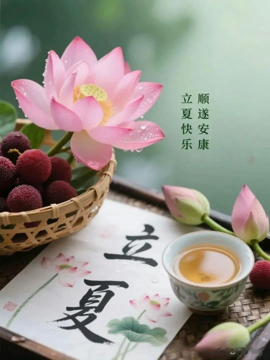 立夏临岸，风染浅夏🍄
一朝春尽芳菲落，
满目清和入夏来。
时序辗转，立夏悄然而
