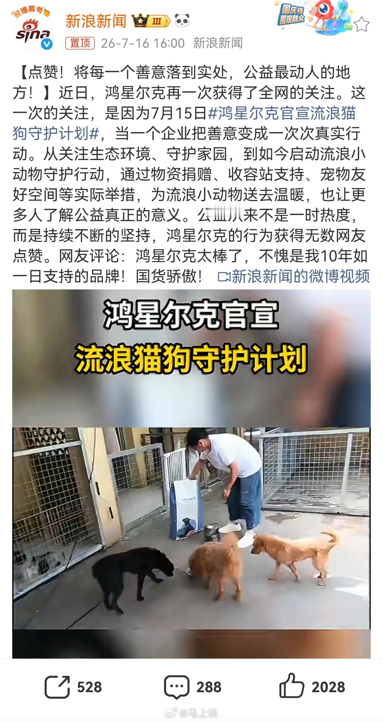 鸿星尔克官宣流浪猫狗守护计划？鸿星尔克老板知道搞这样的宣发意味着什么吗？
