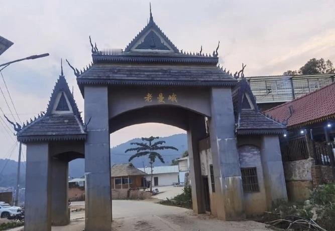 老曼峨的茶苦与甘甜，也是人生难得的滋