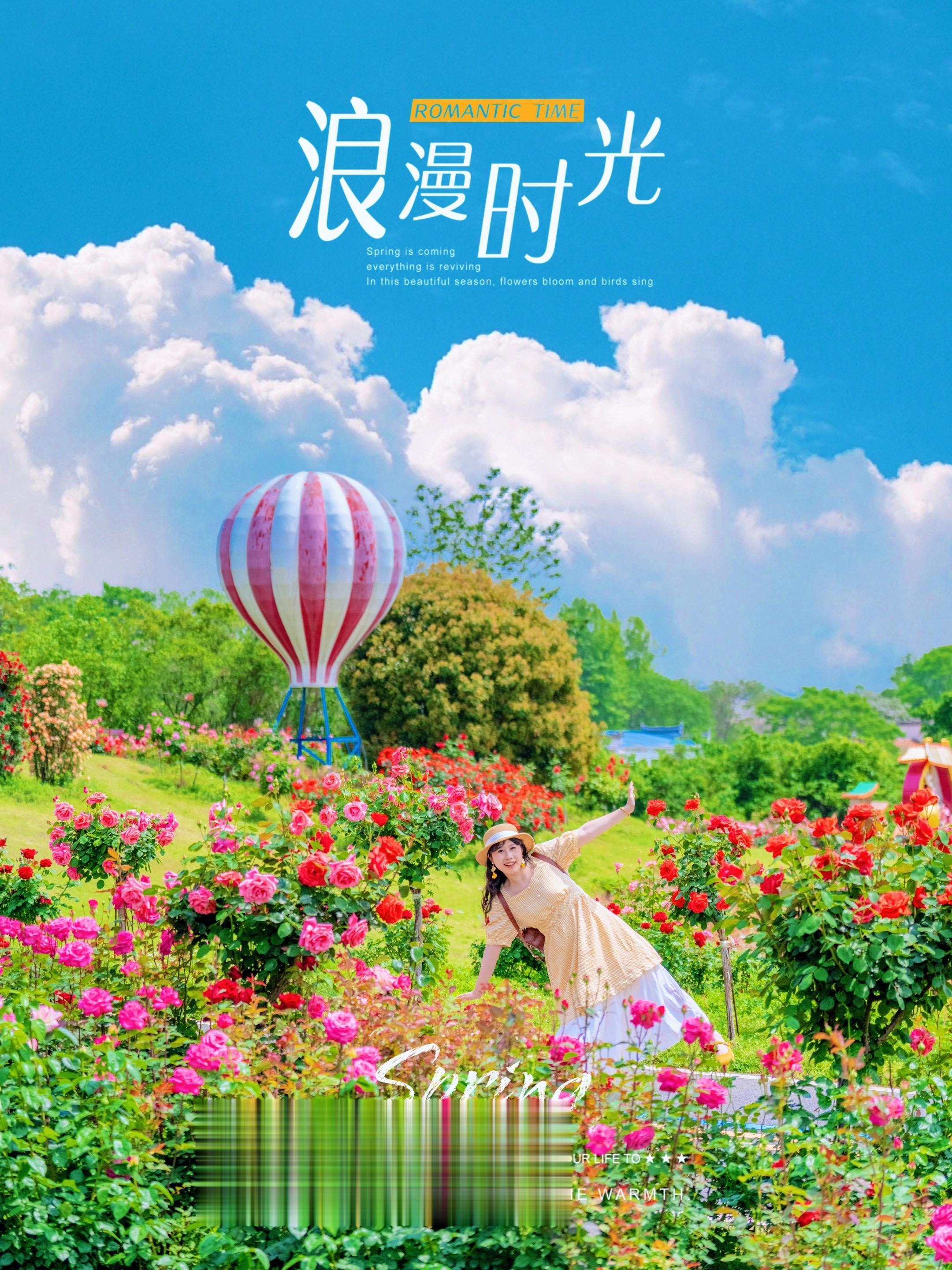 武汉居然有这么好拍的玫瑰花园，还以为在大马士革  天气不冷不热，没有盛...