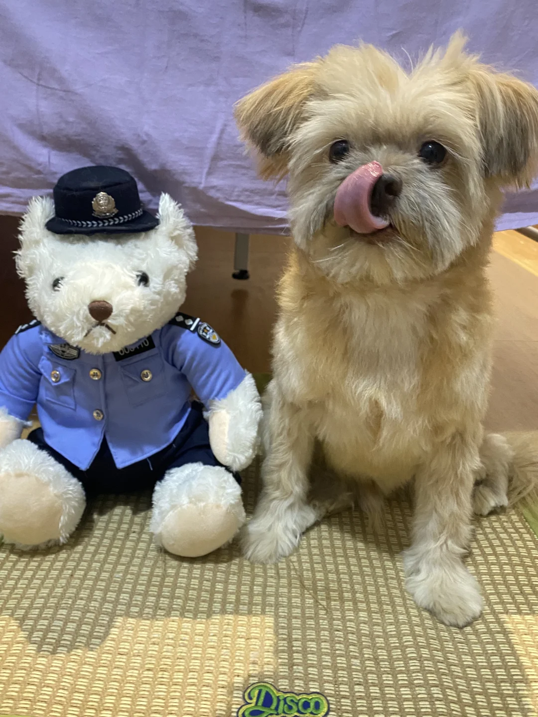 小狗保安 保你平安！
