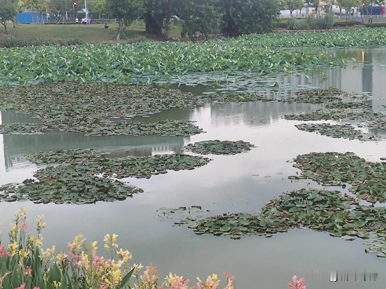 钓鱼不知道是靠技术还是靠运气?简单的说技术是基础，运气是加成！
同一时间同一钓位