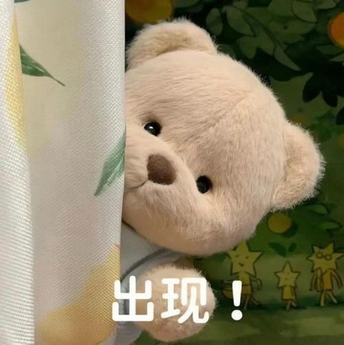爱骑车逛城市的别错过他趣代步骑行闲聊团，结伴打卡街巷小店，沿路分享趣事，线下交友
