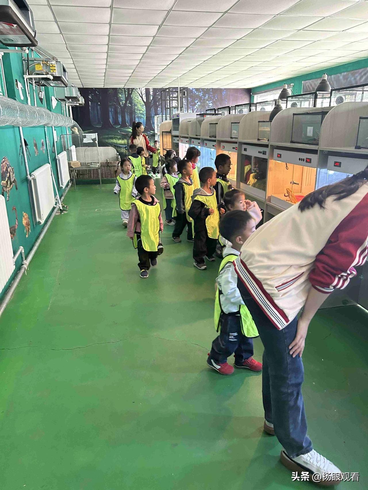 我的今日状态：😁轻松愉快
我这里的天气：☀️晴天