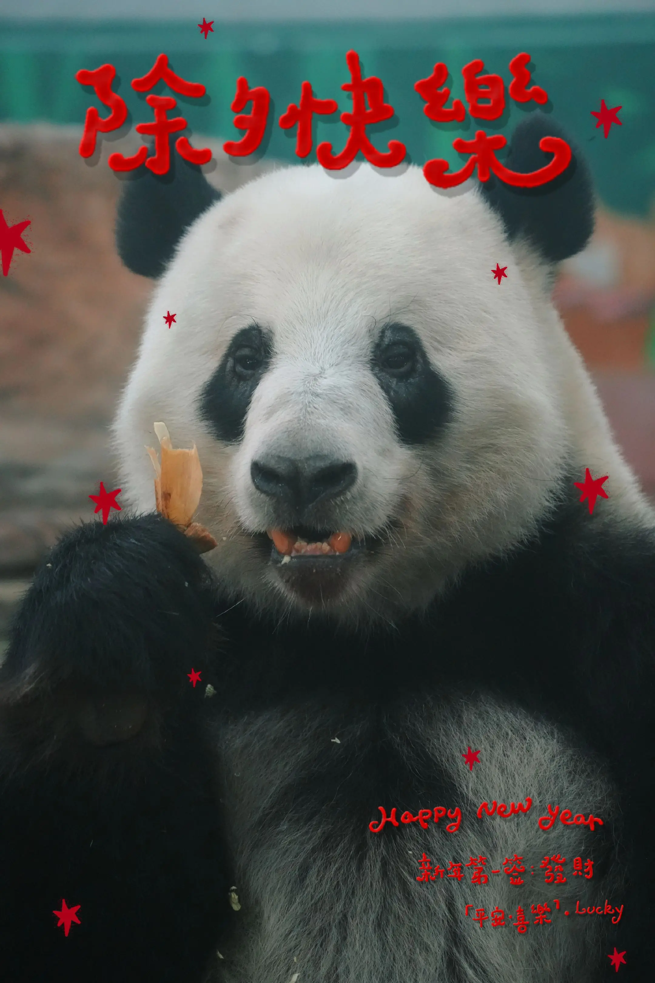 祝大家除夕快乐，马上发达！