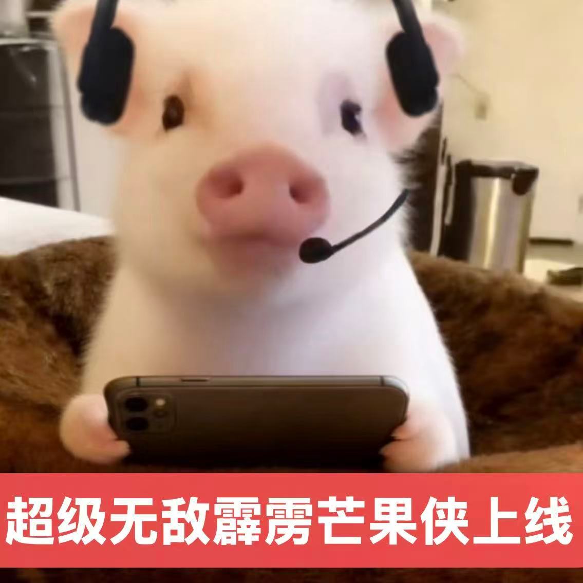 ： 