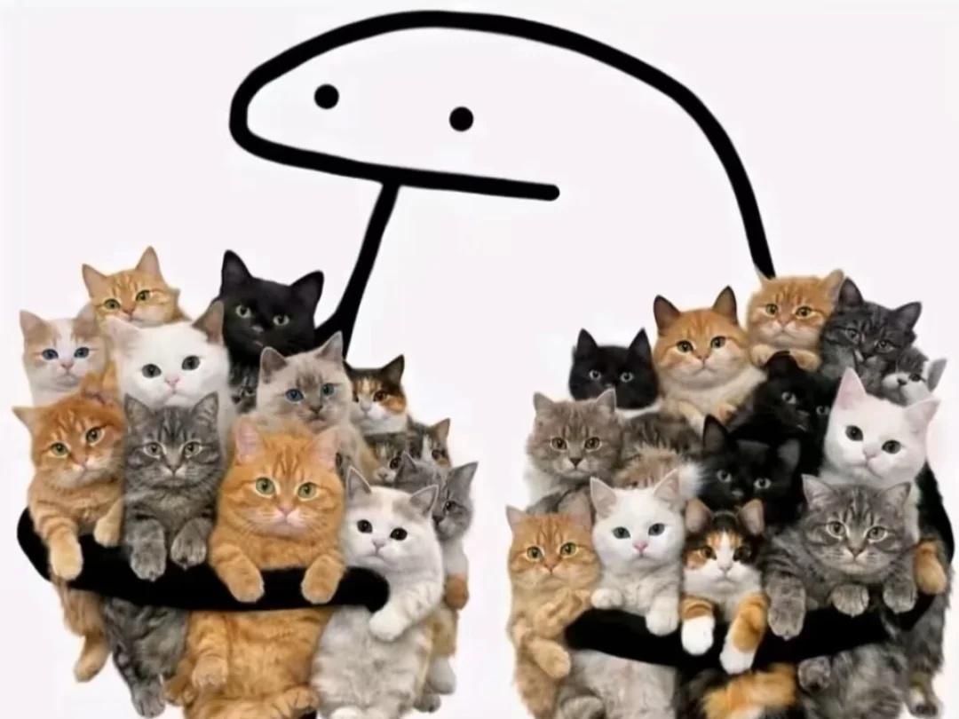 从此小红书替代了朋友圈的功能..