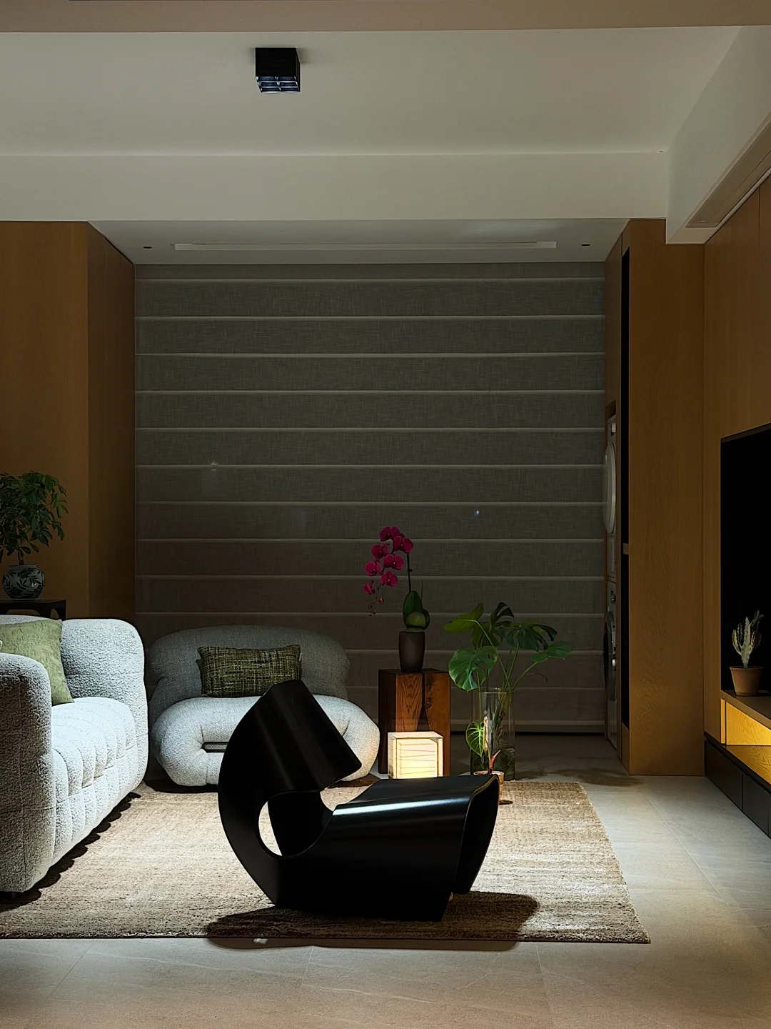 不知道，我的蝴蝶兰很曼妙