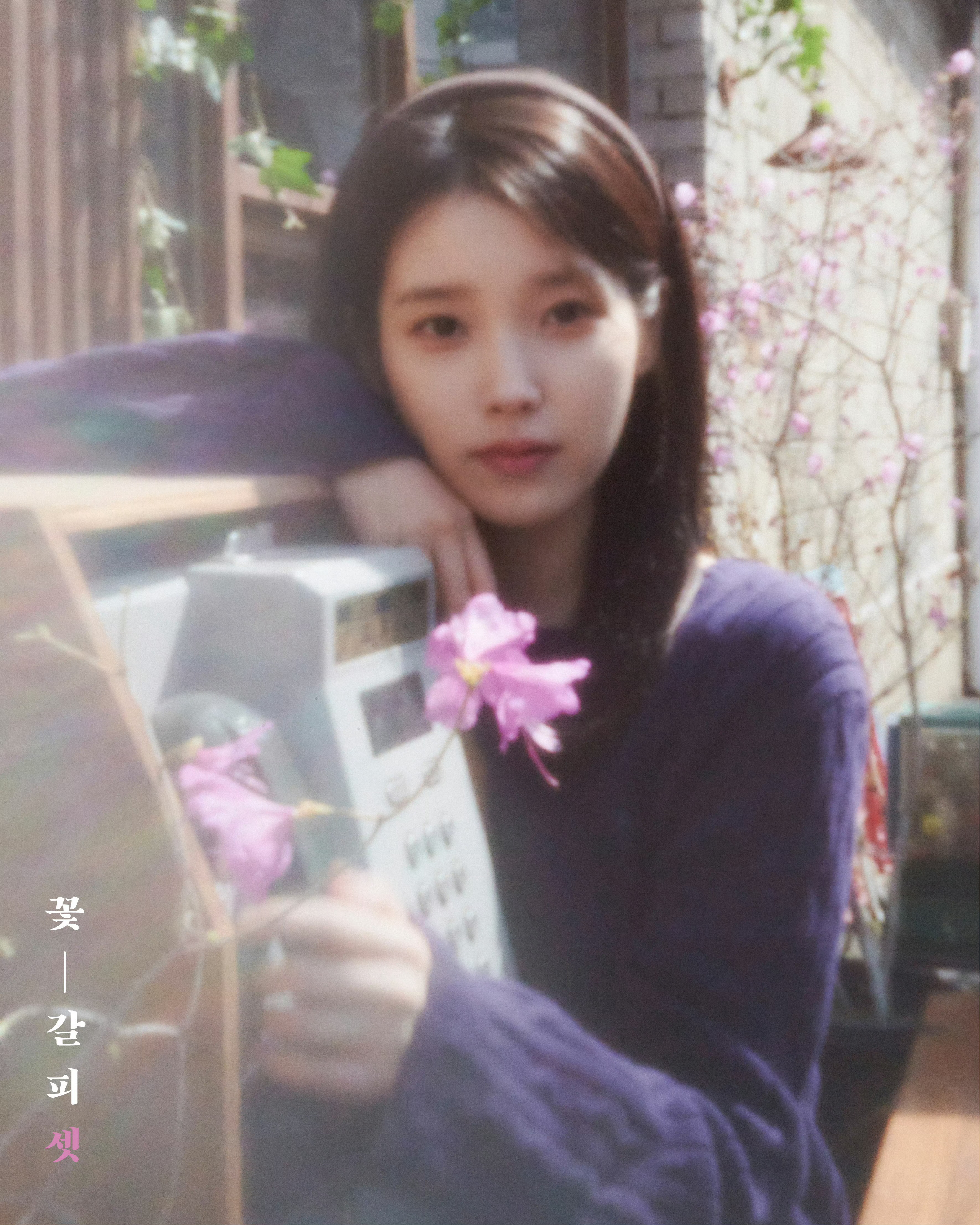 李钟硕IU宣布分手所有人恭迎韩女一回归！！期待IU新专辑和演唱会