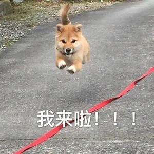#早安# 放下顾虑，心怀期待，满怀信心奔赴下一场山海。 
