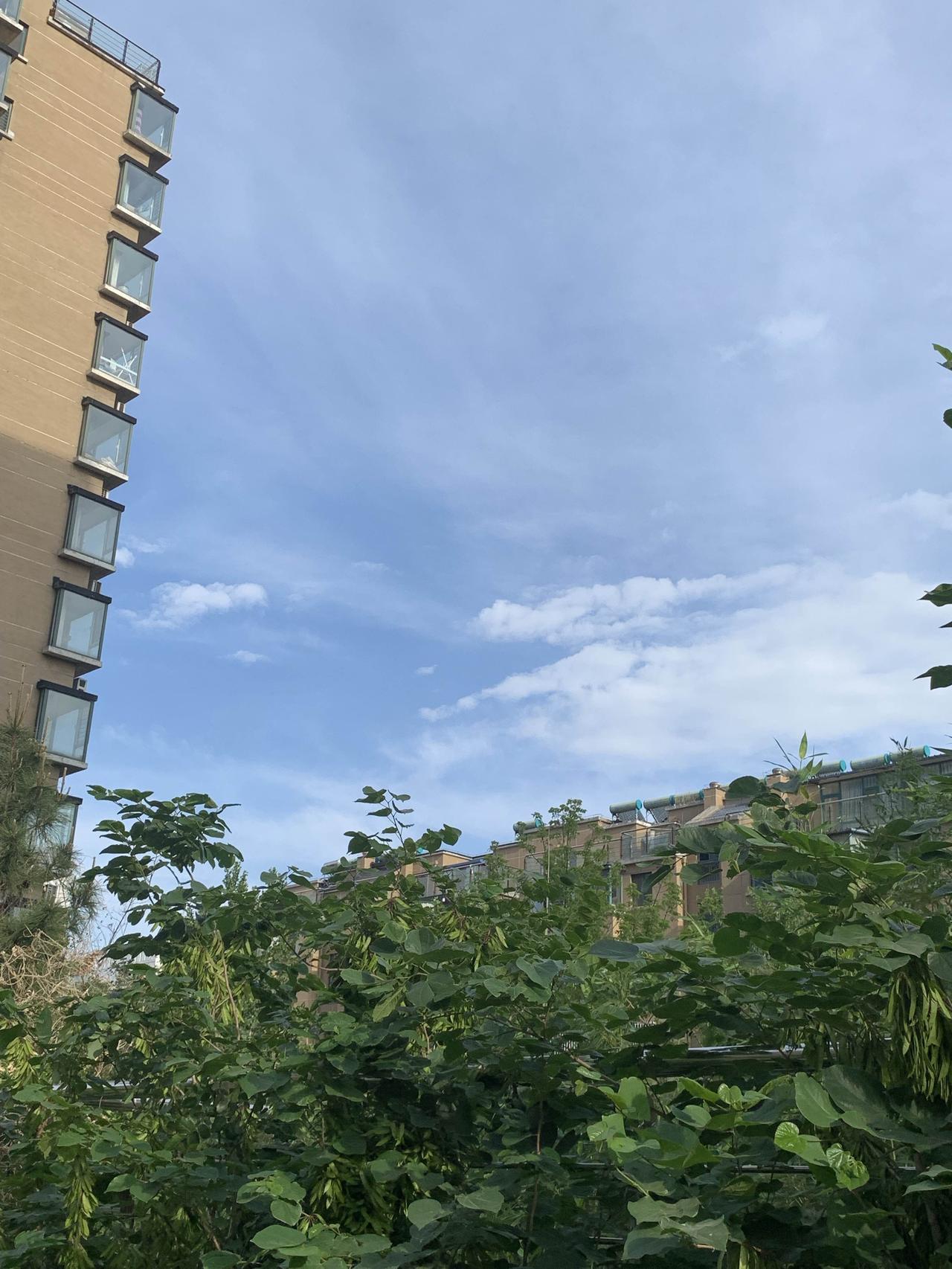 今天的作业继续打卡我的家乡，在小区院里拍下天空，天气多云，有点凉块，不过室外活动