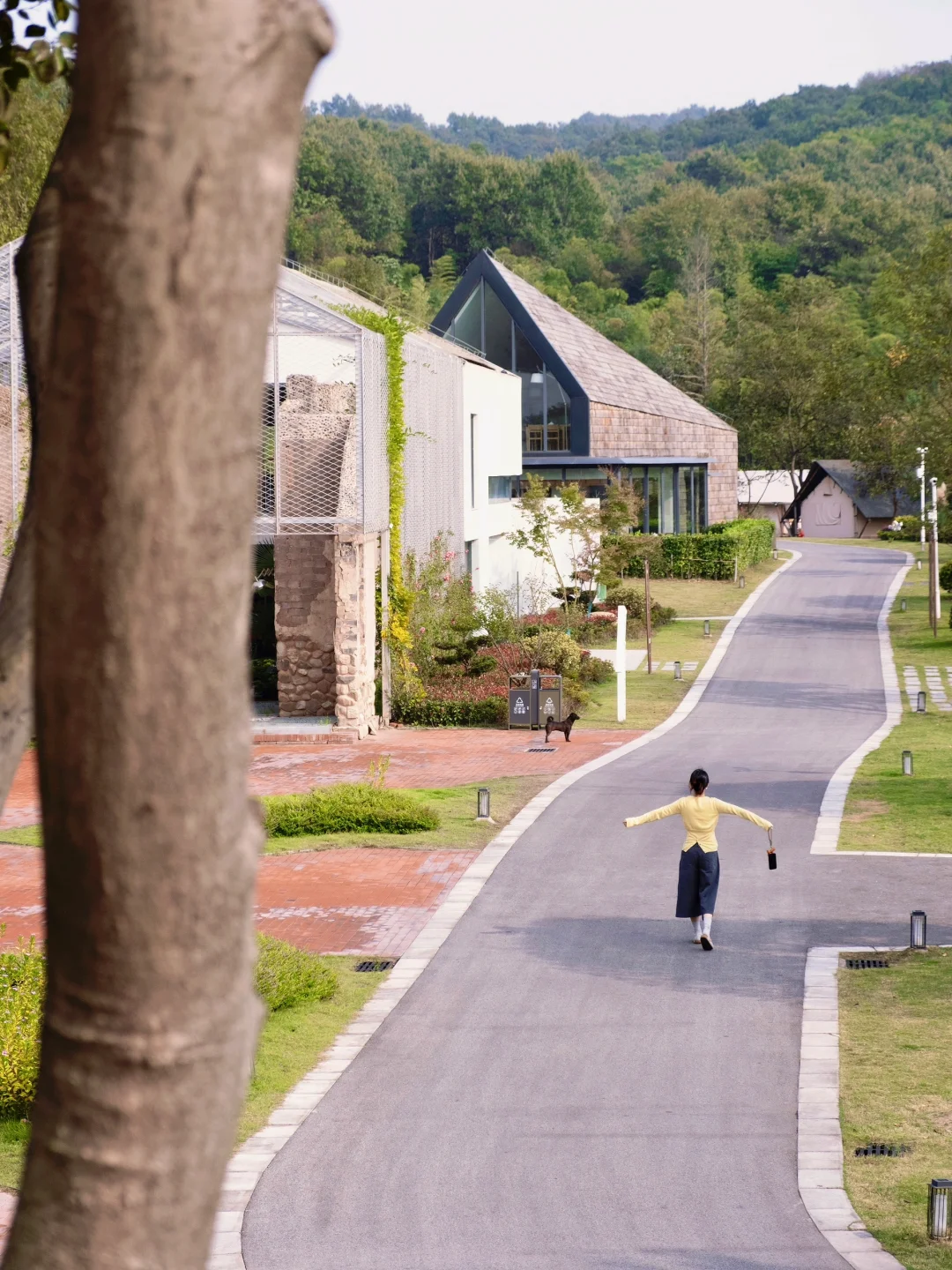 合肥📍市区➕周边2日游 | 小众逛吃住攻略🗺️