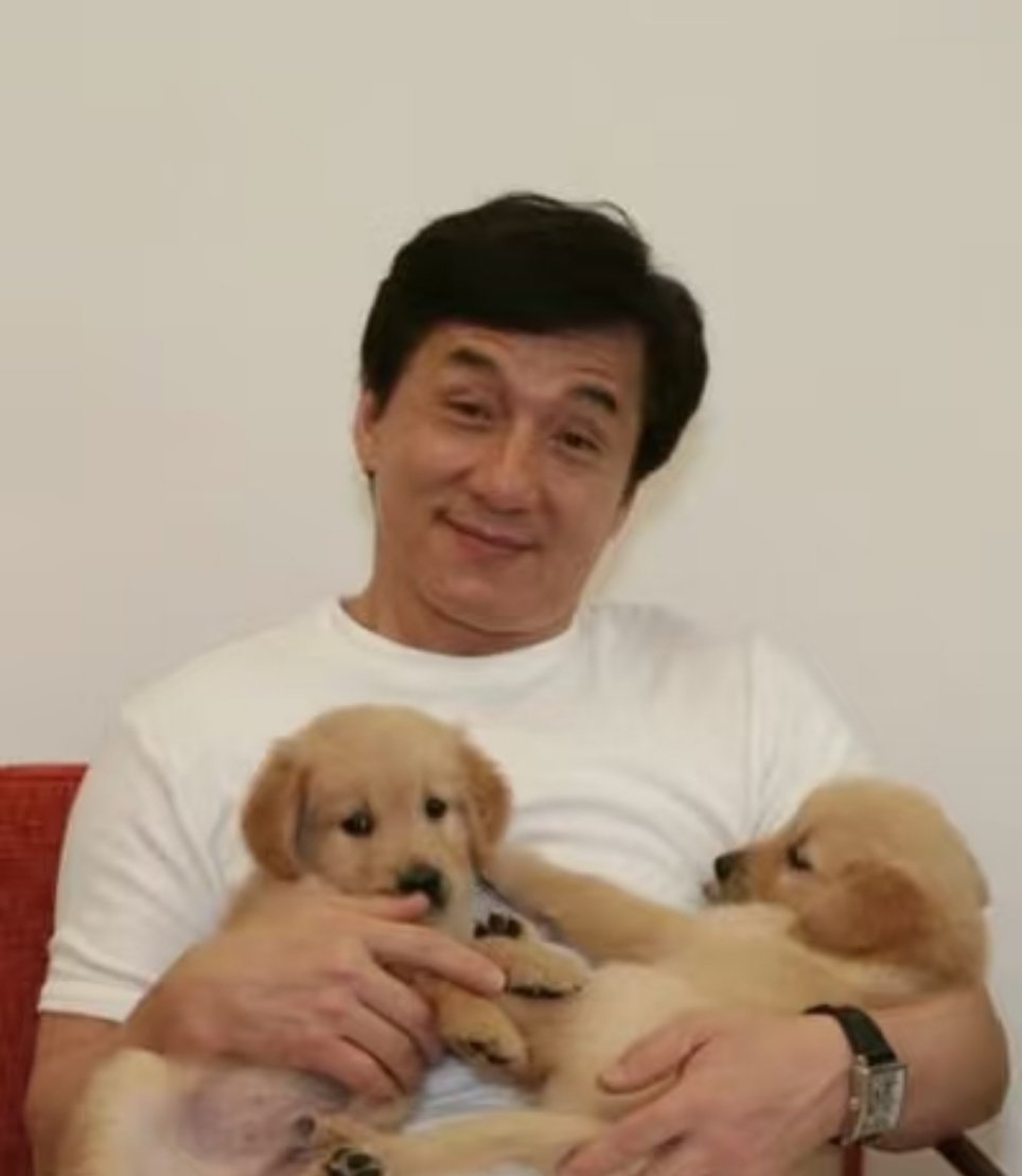 原来写信真的会被成龙看到成龙回应十年剧粉谁懂这份双向奔赴的感动！十年坚守的喜爱被