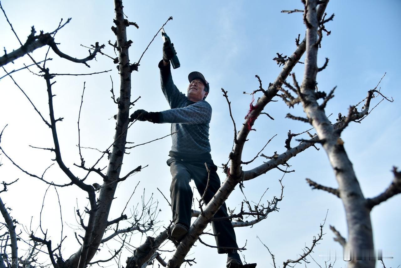 1.5亿退休人员笑醒了！2026年或迎来22连涨，部分人还有更高收入

根据近期