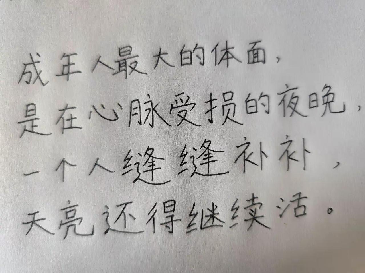 每日一句。成年人最大的体面手写笔记的独白 硬笔书法 一笔一划写出自己的亲身经历