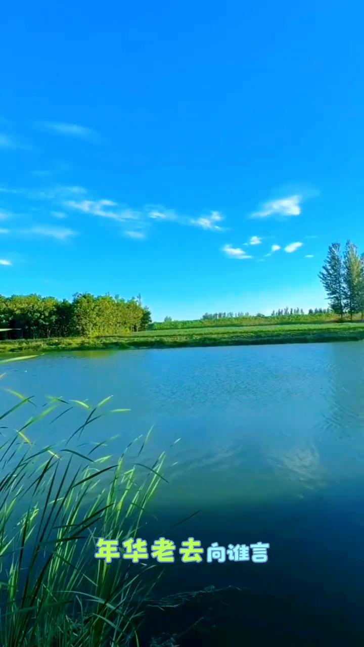 当年的你，意气风发，什么都听不进去。正如现在的你，沉默寡言，什么都说不出口。青丝