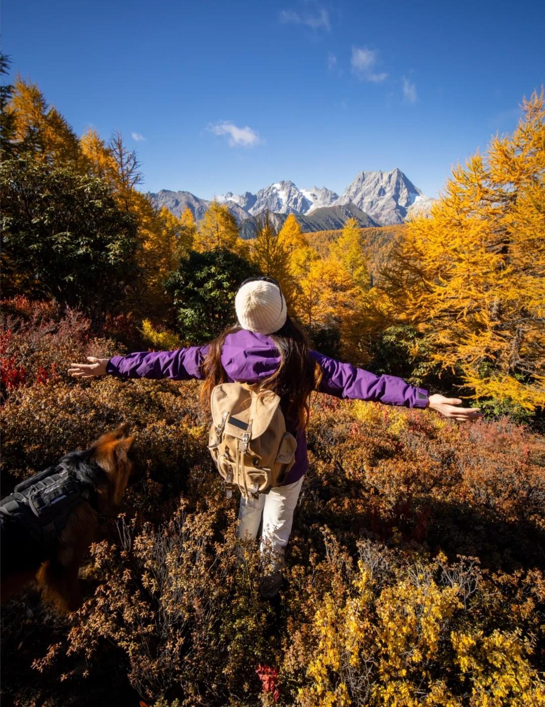 白马至梅里🏔️丈量雪山之秋的含金量
如果你问秋天何处的含金量最高？
答案就在白