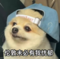 想邝毛…… ​​​
