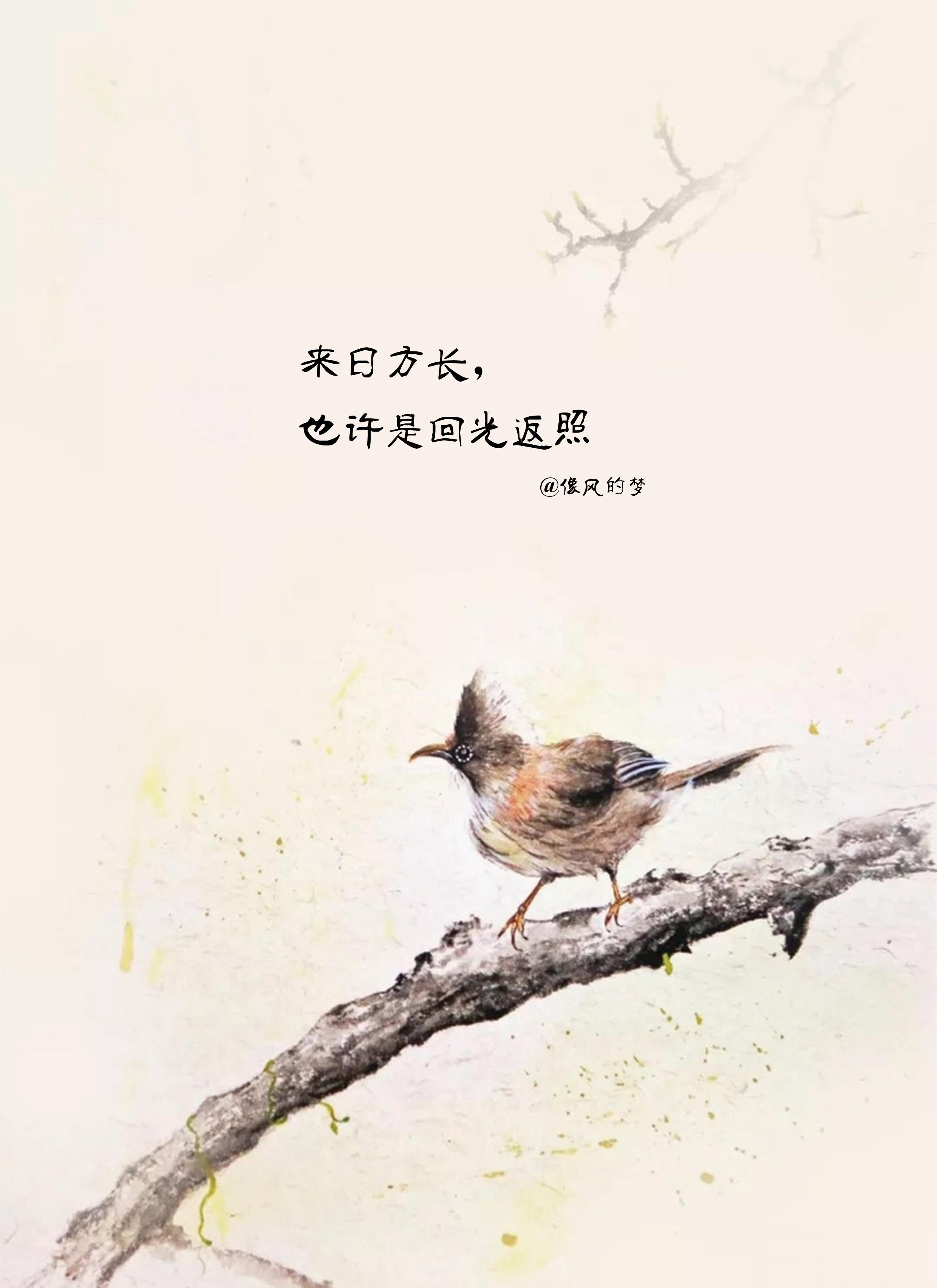 #励志哲理人生[超话]# 1.等到有一天，你脱离了那段时间，脱离了那个局面，便会