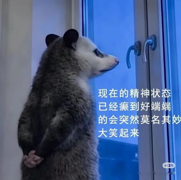 调休 ​​​