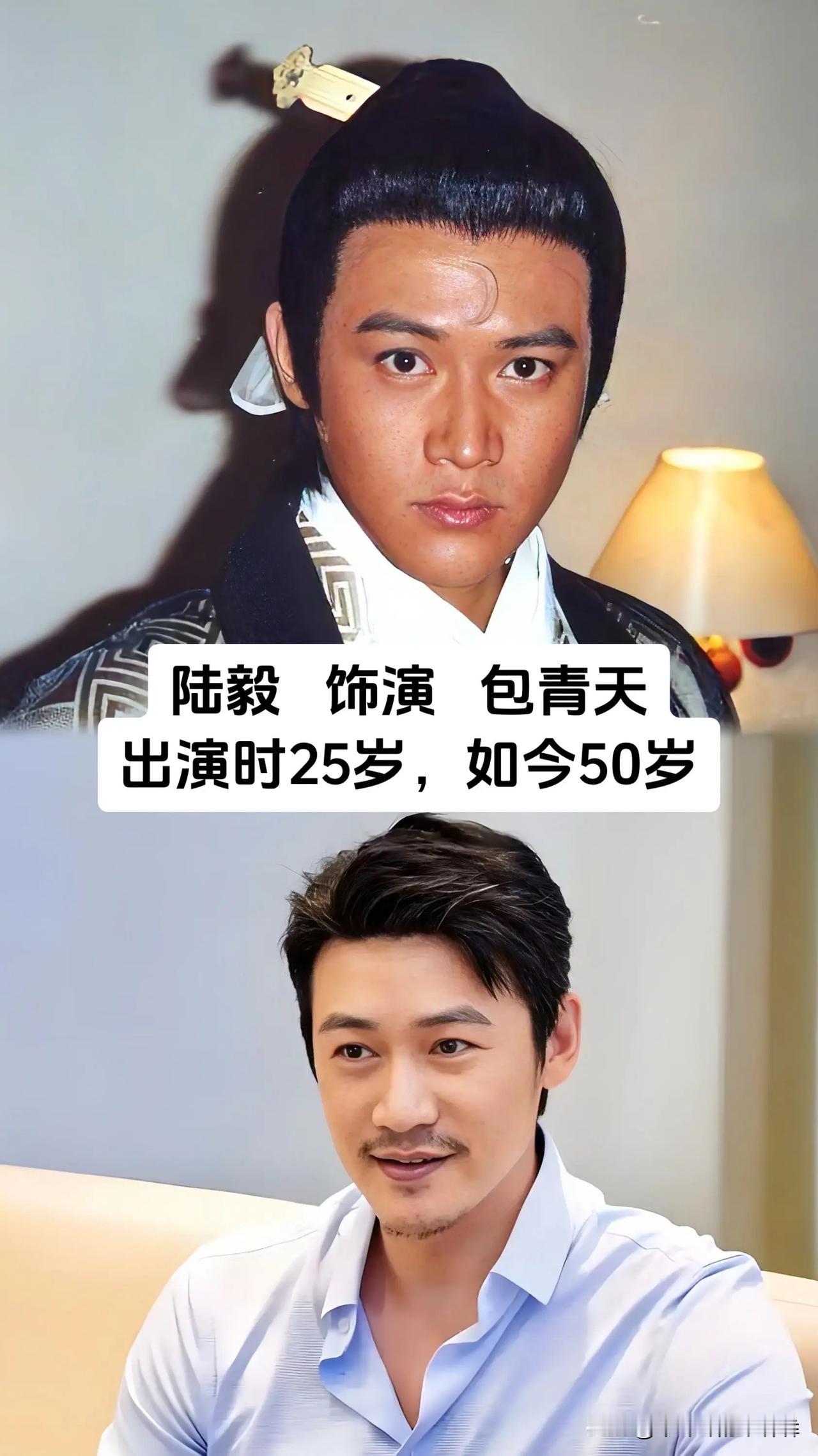 少年时守在电视机前追看的少年包青天，陆毅、释小龙、任泉、李卉、周蕾撑起了整部剧的