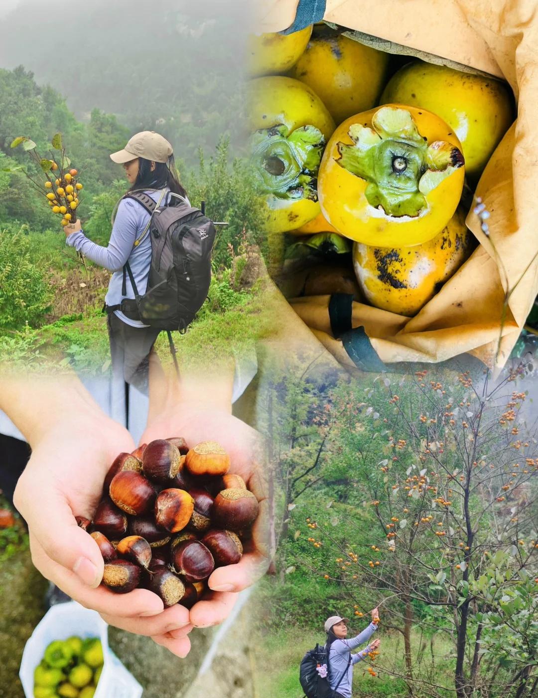 长沙阴天“打野”的快乐我get了‼️
🌿
茶亭水库真的是个隐藏的“花果山”💫