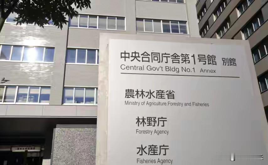 日本的这次踢到钢板了

惹谁不好，非要惹中国，中国驻福冈总领事馆正在协助有关中国