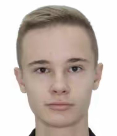 这个案子特别有意思，应该在乌克兰好好宣传一下。奥地利维也纳发生了一起汽车纵火谋杀