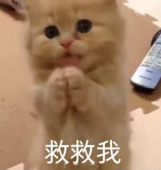 #成毅# 不能说完全一样吧 ​​​