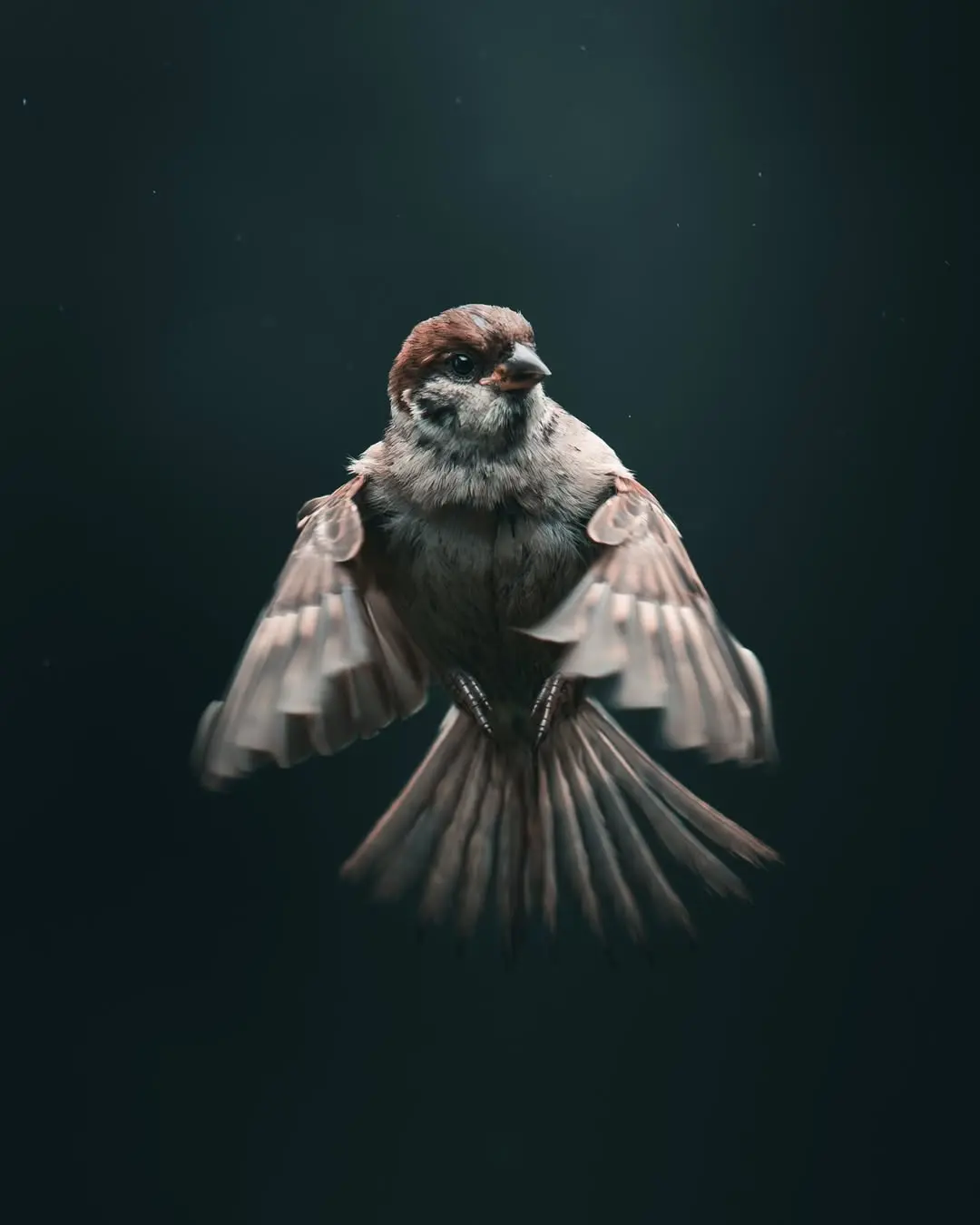 审美分享-暗调。