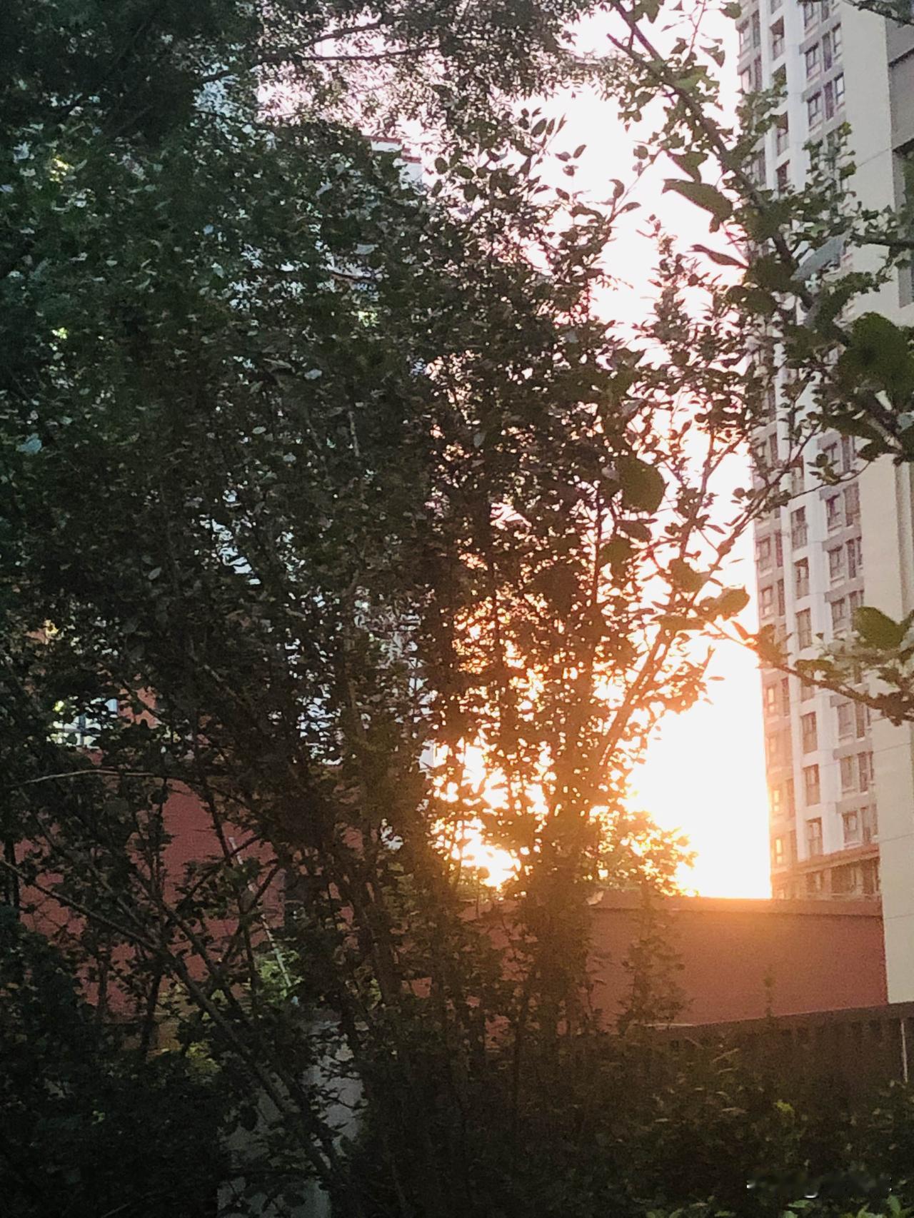 夏日生活打卡季夏天傍晚的天空真的太好看了！出门随便走走就能撞见漫天晚霞，橘红、粉