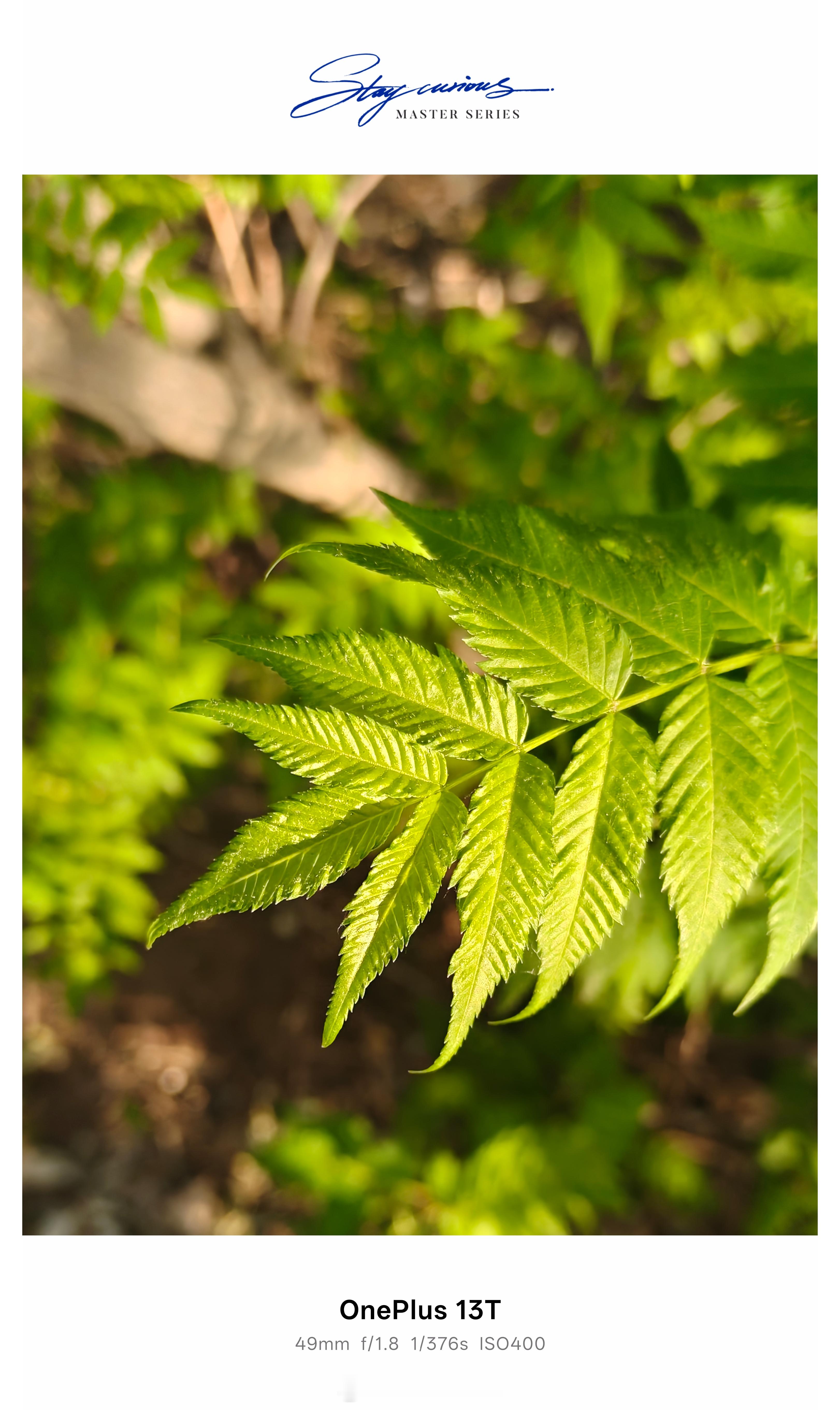 智驾的护城河在有关部门，这下子除了鸿蒙都老实了吧？？[二哈]是辅助驾驶的，就是老