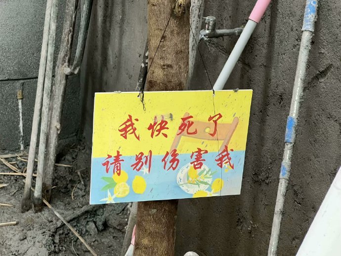 4561走在路上发现人生格言 ​​​