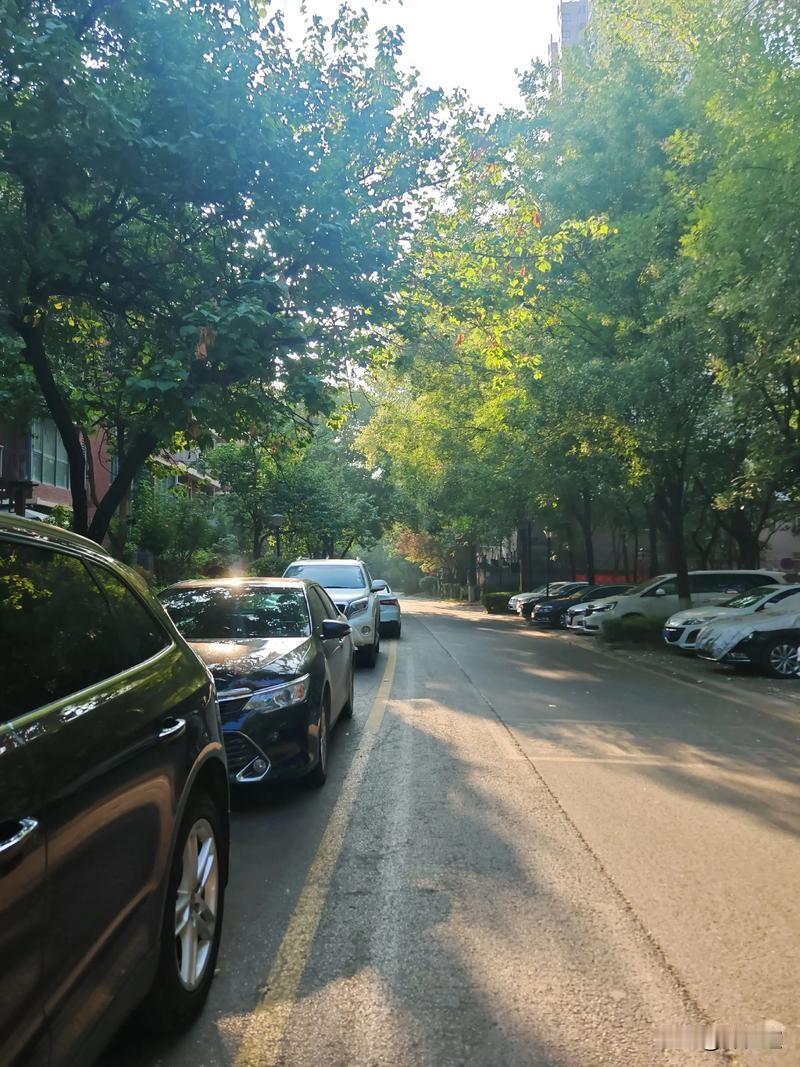 走在大街上，柏油马路被晒得软绵绵的，踩上去仿佛能留下脚印。路边的树木无精打采地耷