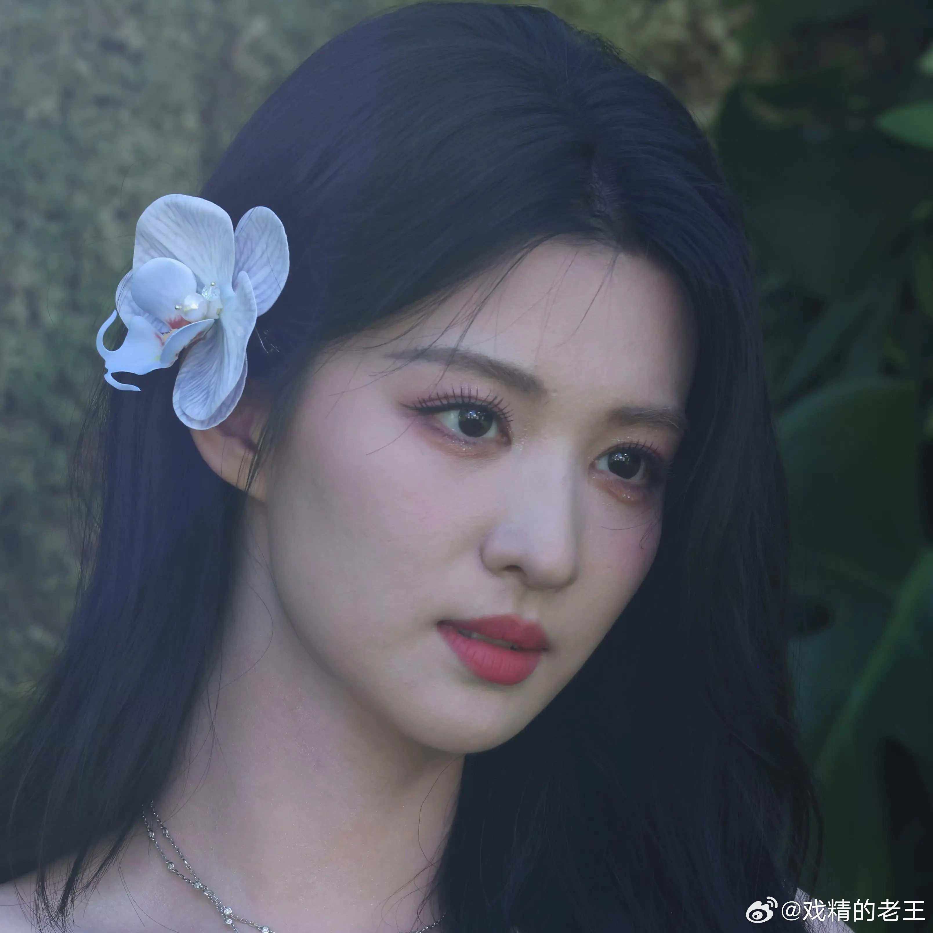 近万虎扑er投票的，王楚然vs田曦薇颜值投票，王楚然的票数是田曦薇的3倍这是虎扑