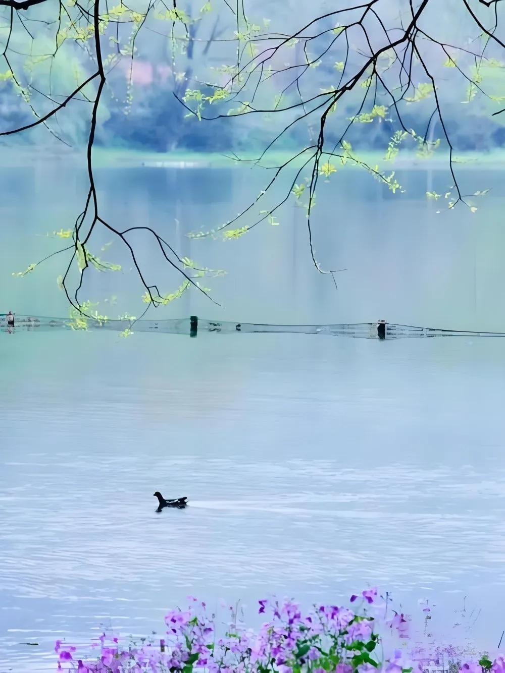 我可爱的家乡
 
无论我走到何方，
脑海里总装着家乡。
家乡那潺潺小溪，
叮咚流