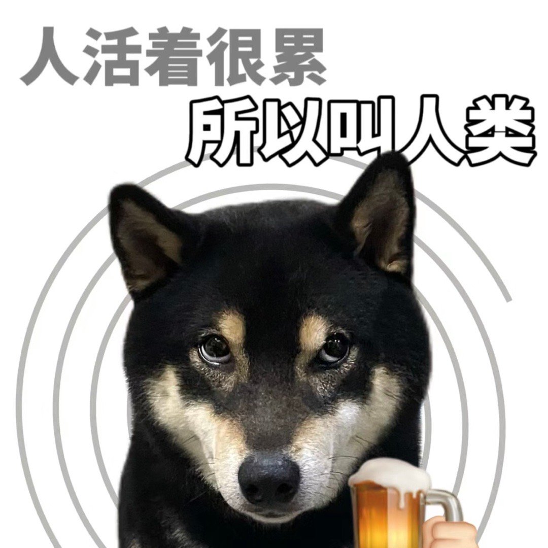 小黑柴柴表情包 看透人生[春游家族] ​​​