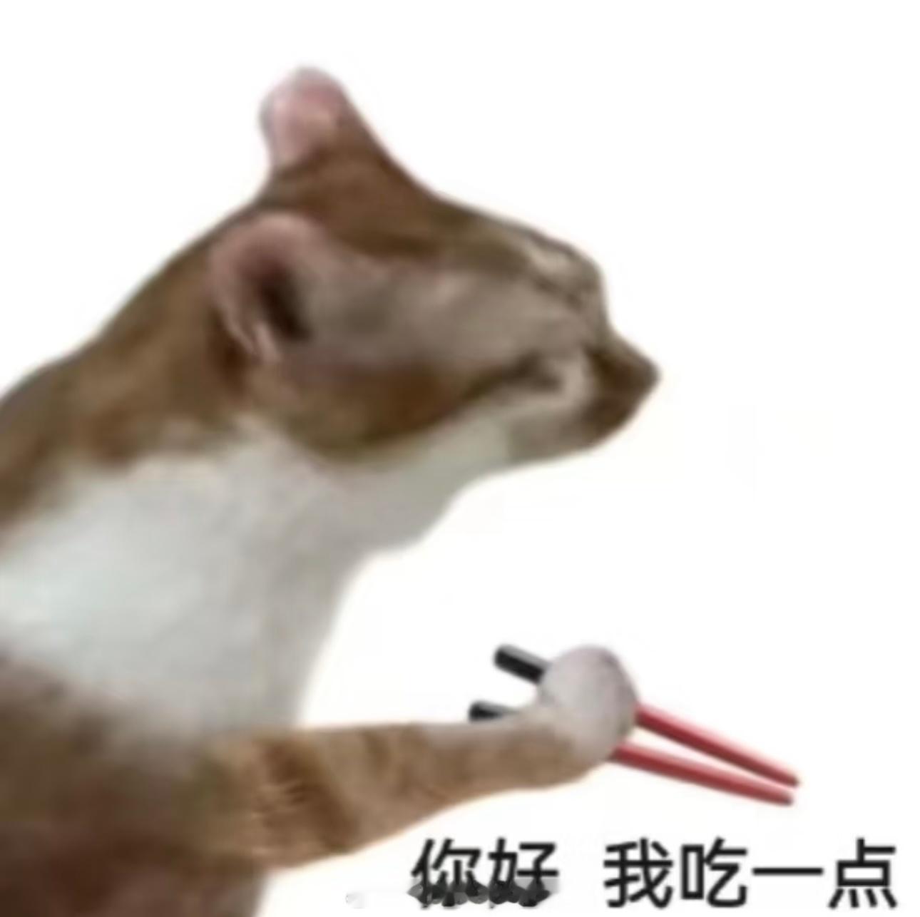 别被不吃下水的标签困住 别被“标签”绑住味觉，美食没有高低。胡同里的炒肝，巷子里