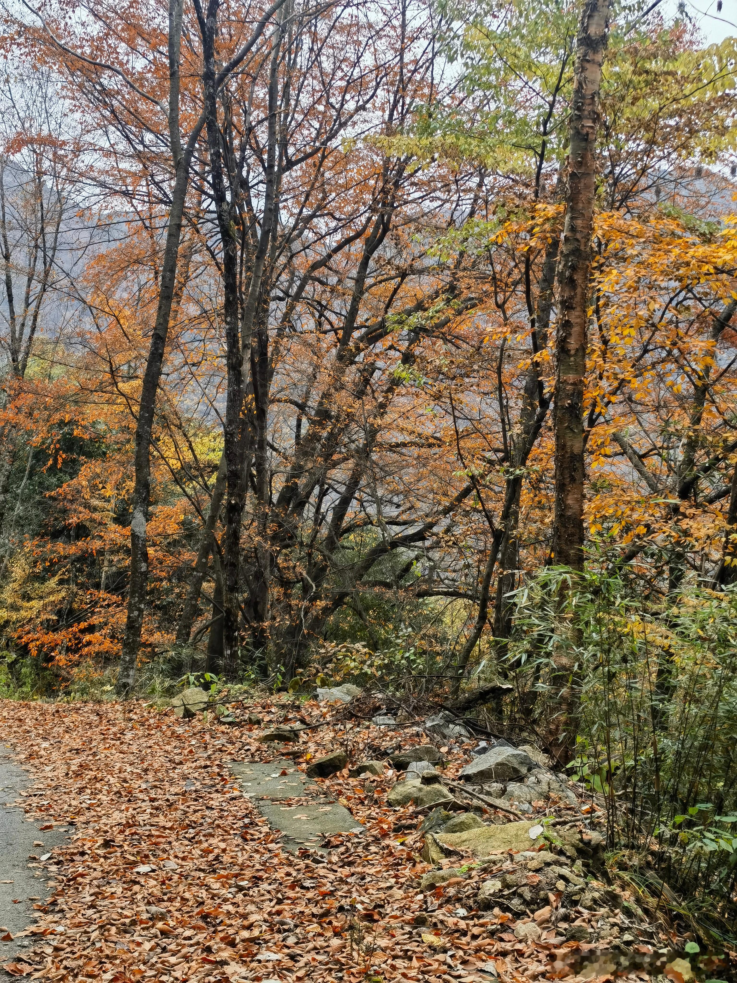 市场才不会体谅你的感受 