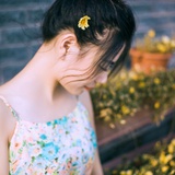 兔宝聚聚娱乐